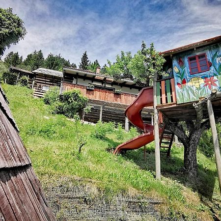 Glamping Mm Hotel Muta Екстериор снимка