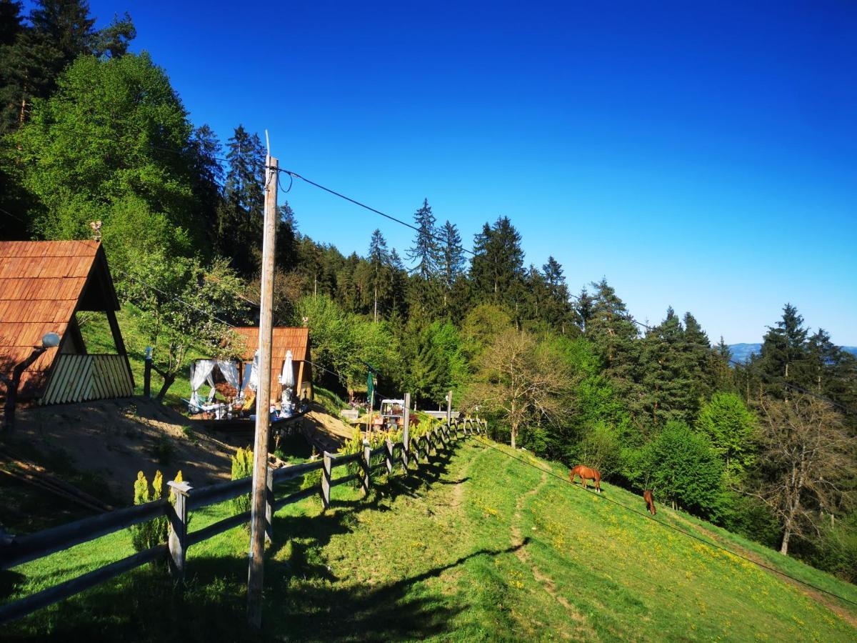 Glamping Mm Hotel Muta Екстериор снимка