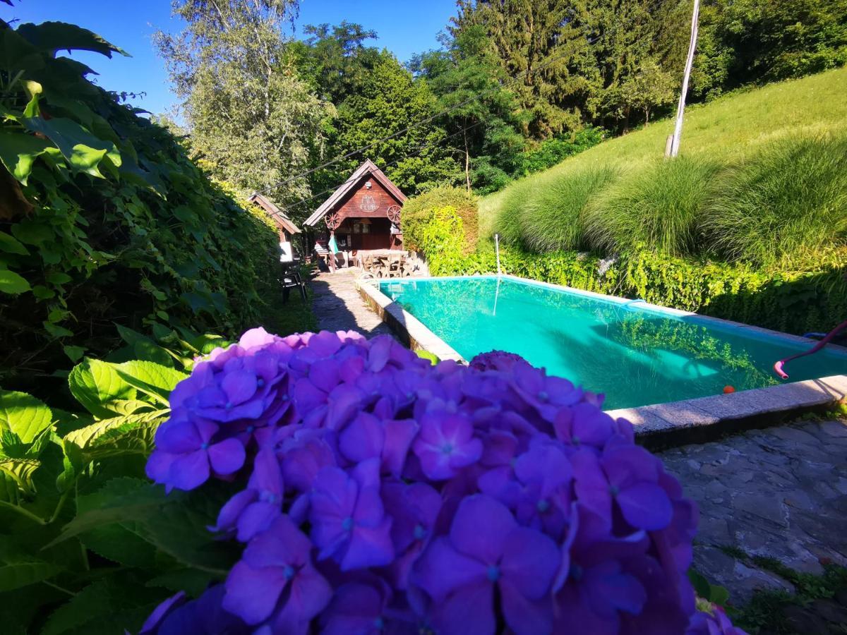Glamping Mm Hotel Muta Екстериор снимка